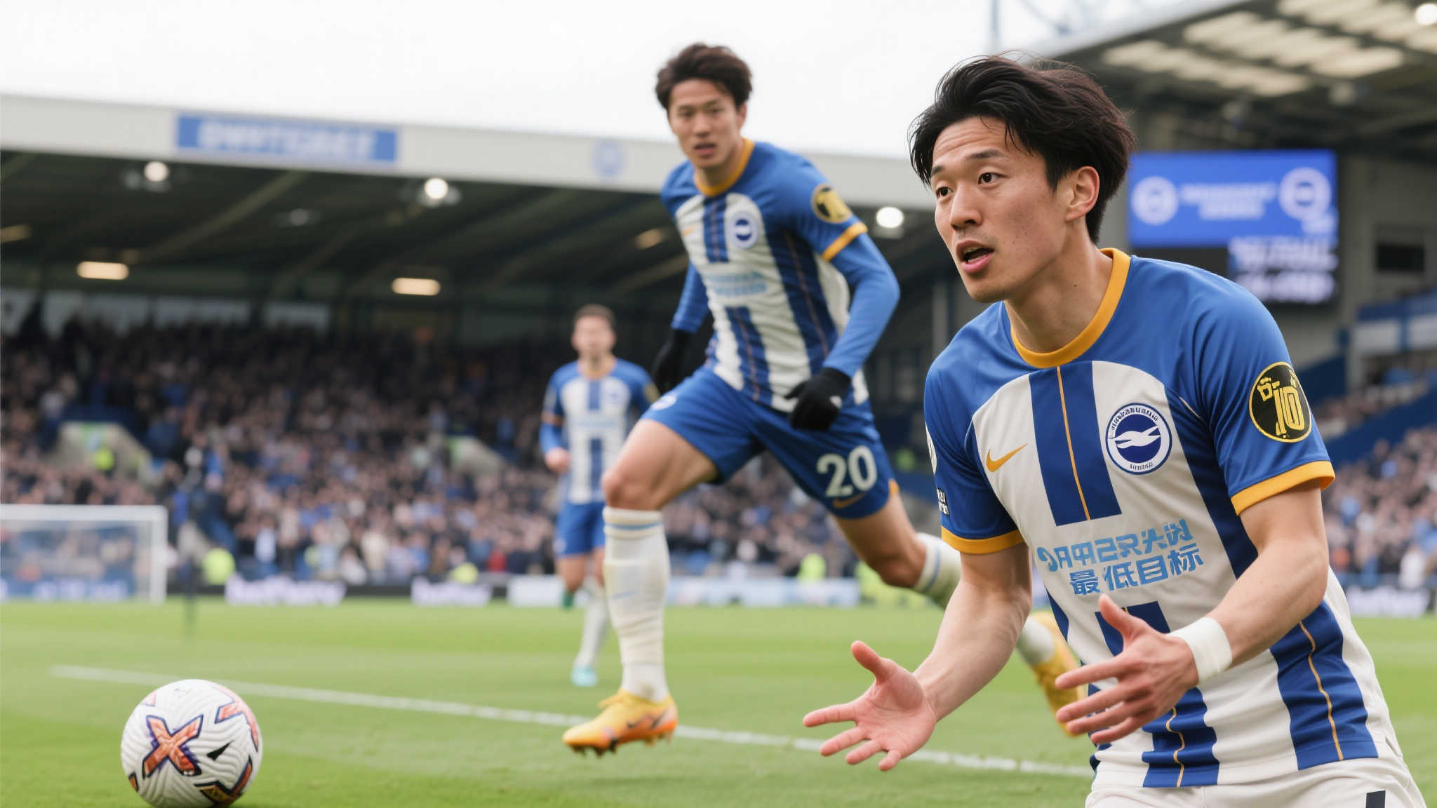 也发挥了关 也发挥了关