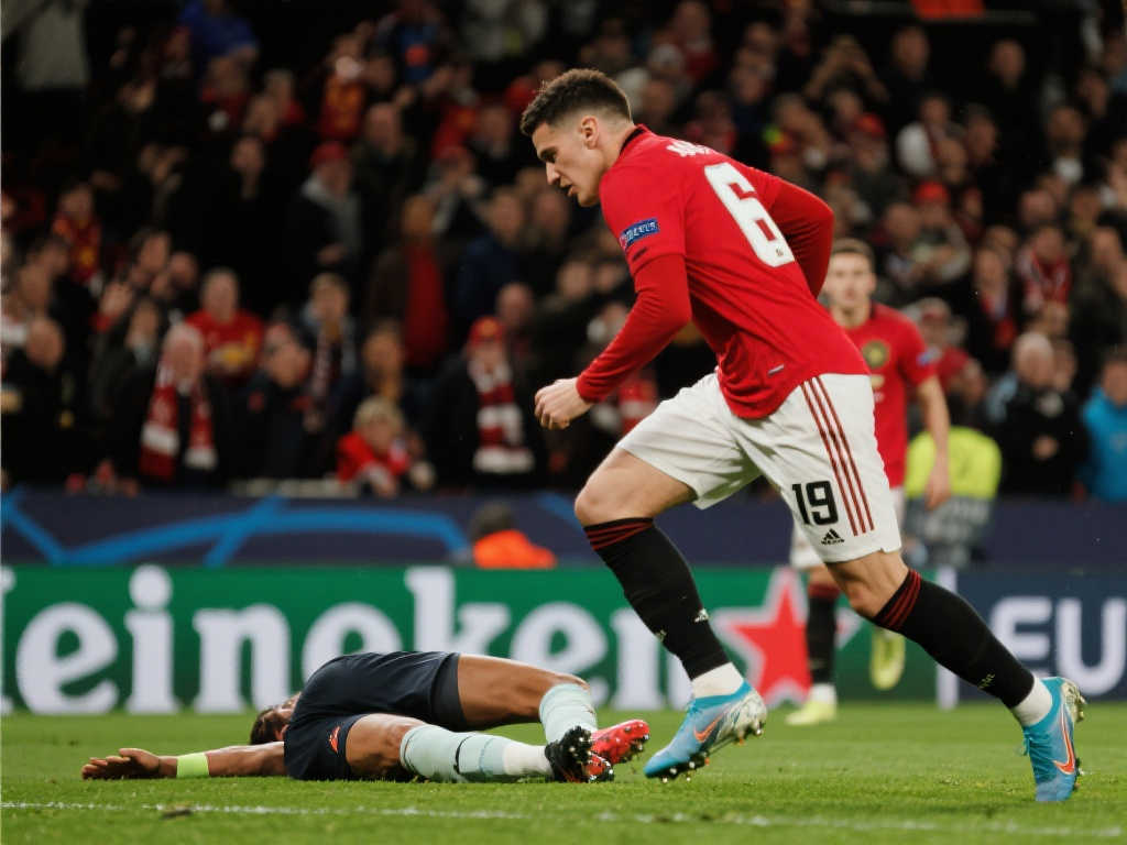 他们完全主 他们完全主